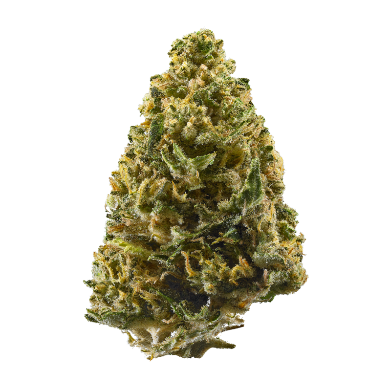 Legit online dispensary worldwide | Green Leaf Dispensary northern lights strain