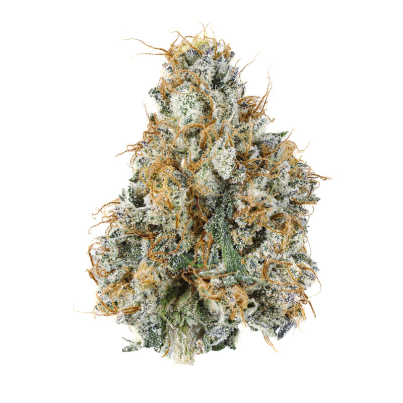 Legit online dispensary worldwide | Green Leaf Dispensary gary payton strain