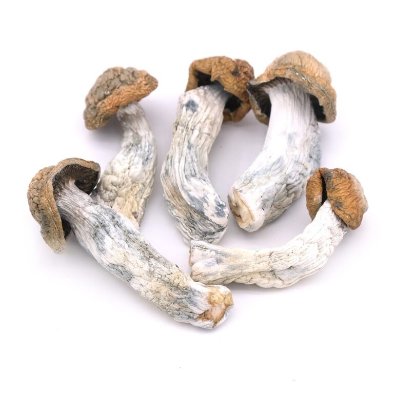 Legit online dispensary worldwide | Green Leaf Dispensary penis envy magic mushrooms