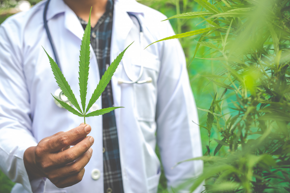Legit online dispensary worldwide | Green Leaf Dispensary 12520