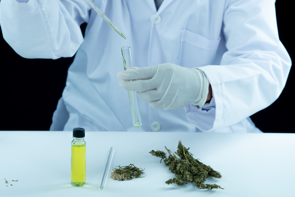 Legit online dispensary worldwide | Green Leaf Dispensary 16912